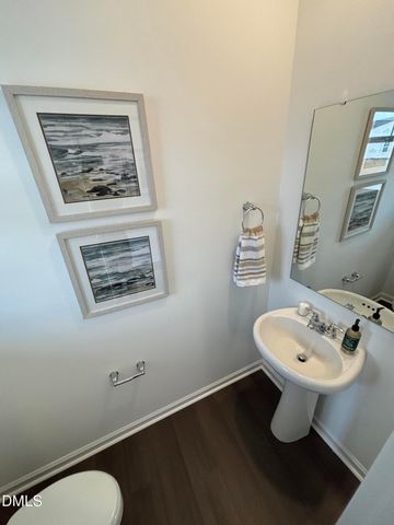 204 Blossom Field Way, Angier, NC 27501