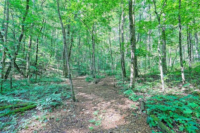 876 WHITETAIL Trail, Clayton, GA 30525