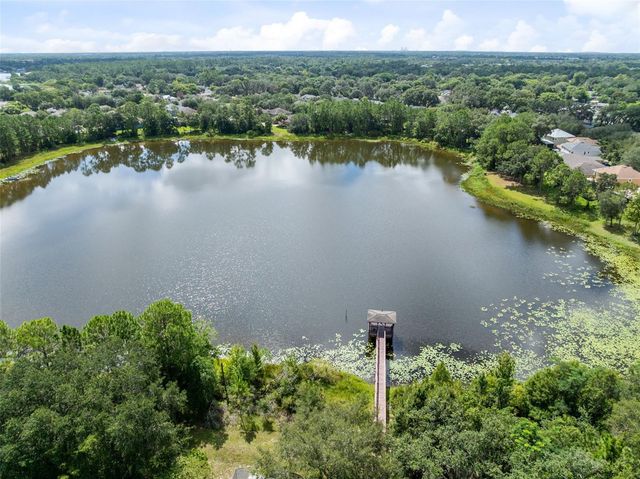 8126 CRUSHED PEPPER AVENUE, Orlando, FL 32817