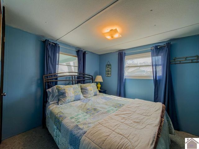 267 Primrose Drive, New Concord, KY 42076