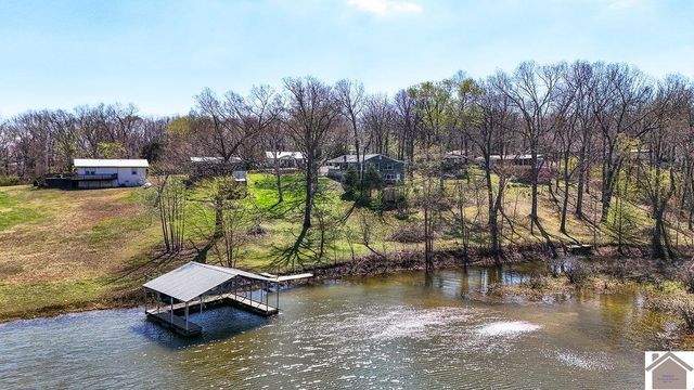 267 Primrose Drive, New Concord, KY 42076