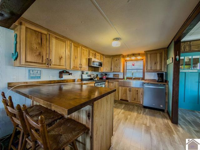 267 Primrose Drive, New Concord, KY 42076