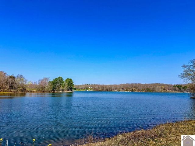 267 Primrose Drive, New Concord, KY 42076