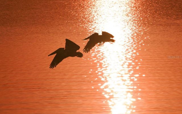 6800 GULF OF MEXICO DRIVE 184, Longboat Key, FL 34228