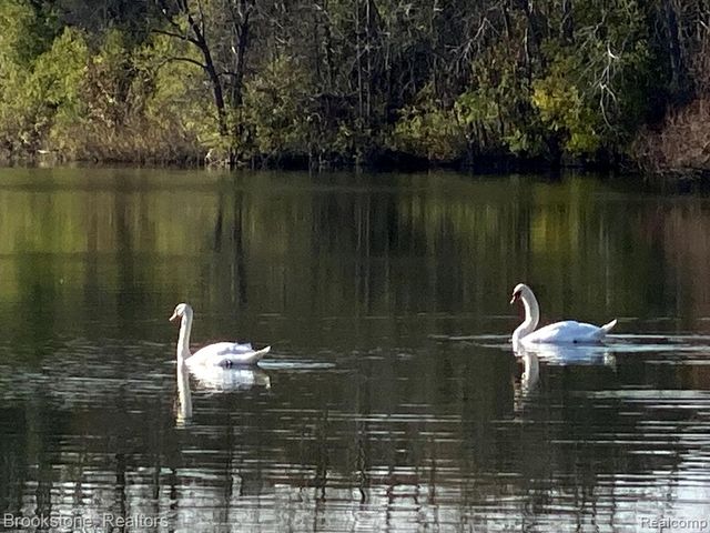 711 Sylvanwood Drive, Troy, MI 48085