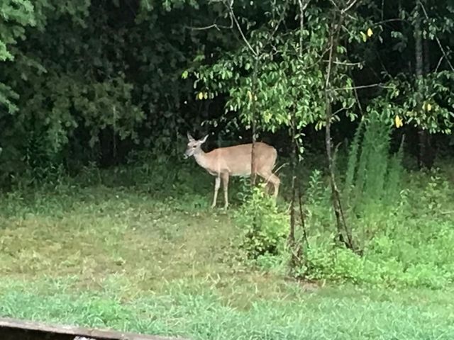 152 Highland Drive, Dunlap, TN 37327