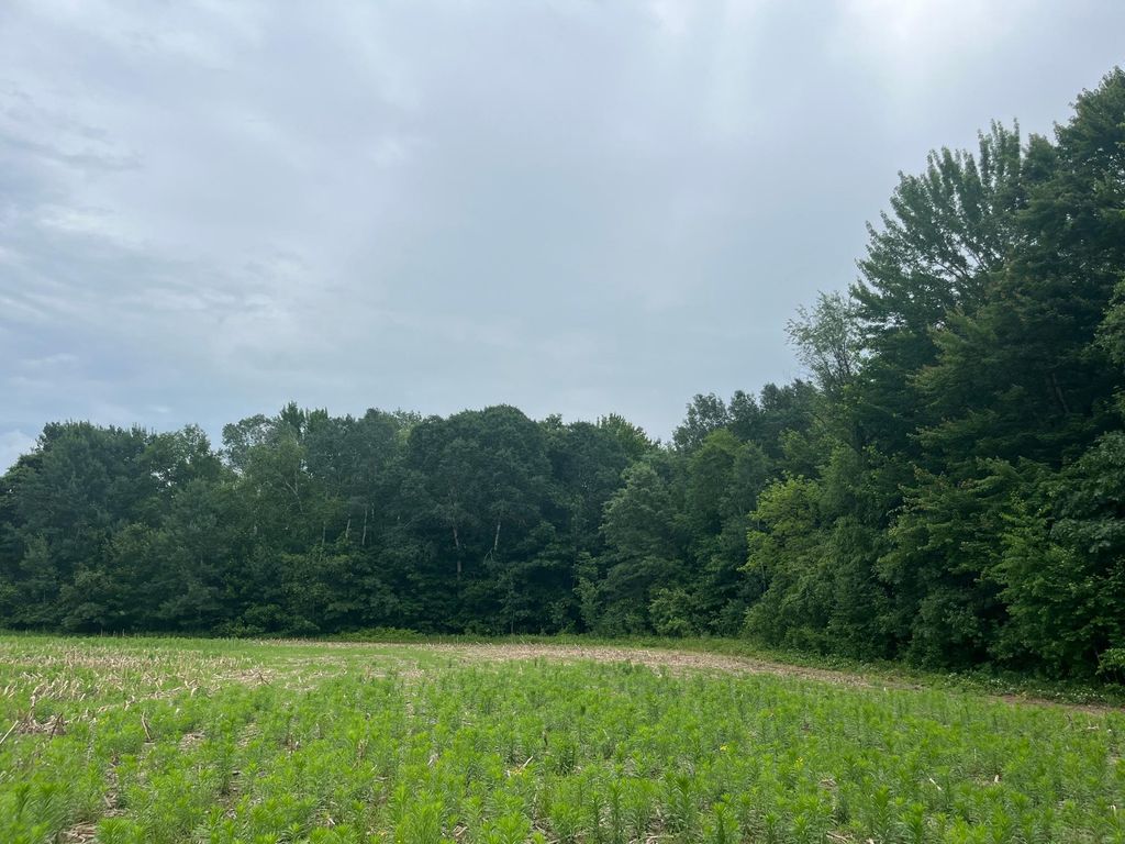 TBD (Lot 4) Hemingway Avenue, North Branch, MN 55056 — photo 2