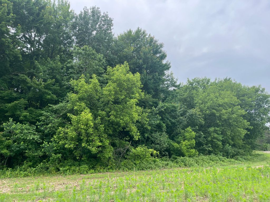 TBD (Lot 4) Hemingway Avenue, North Branch, MN 55056 — photo 3