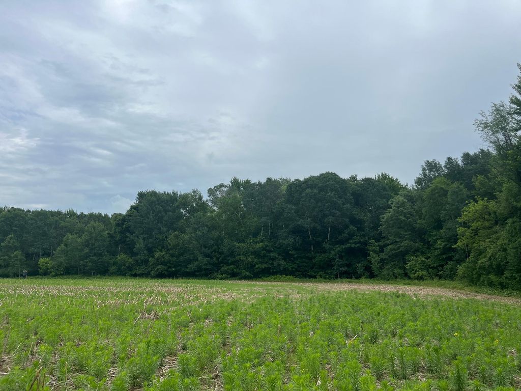 TBD (Lot 4) Hemingway Avenue, North Branch, MN 55056 — photo 4