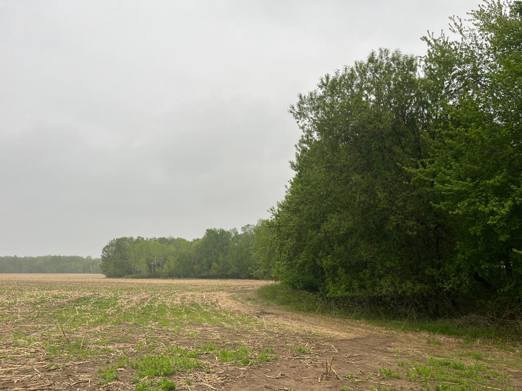 TBD (Lot 4) Hemingway Avenue, North Branch, MN 55056 — photo 5