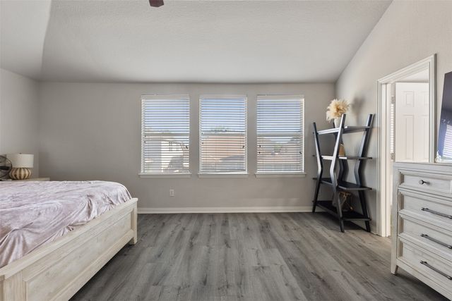 1728 Flamingo Drive, Little Elm, TX 75068