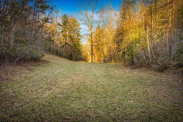 178 Arp Road, Mineral Bluff, GA 30559