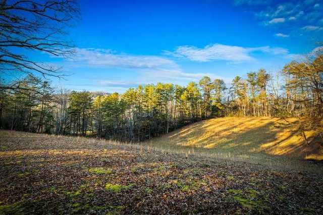 178 Arp Road, Mineral Bluff, GA 30559