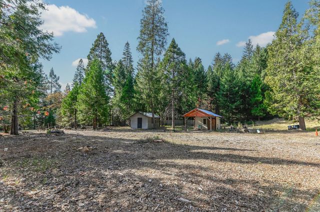 26897 Spring Ct, Pioneer, CA 95666