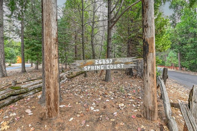 26897 Spring Ct, Pioneer, CA 95666