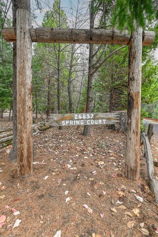 26897 Spring Ct, Pioneer, CA 95666