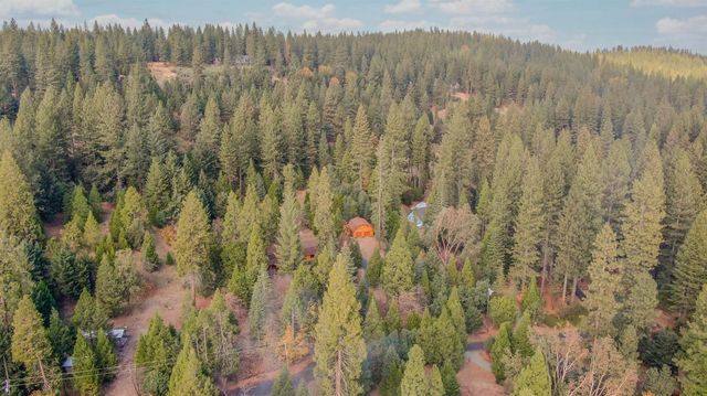 26897 Spring Ct, Pioneer, CA 95666