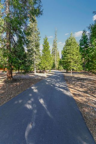 26897 Spring Ct, Pioneer, CA 95666