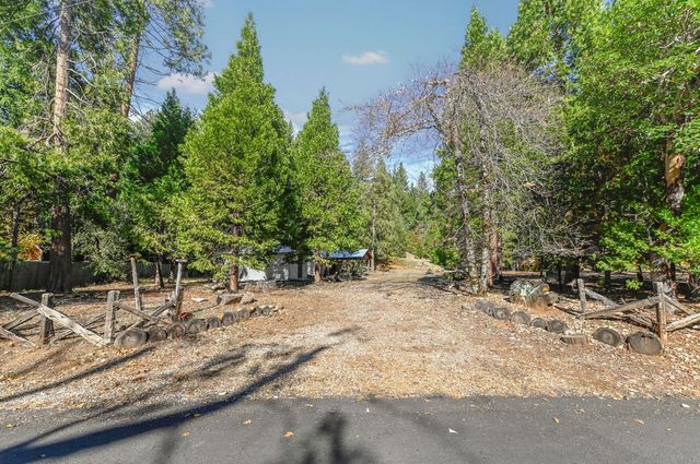 26897 Spring Ct, Pioneer, CA 95666