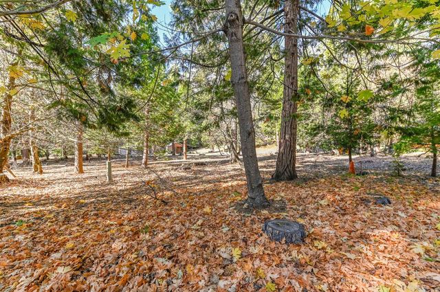 26897 Spring Ct, Pioneer, CA 95666