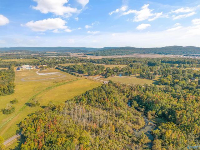 151 River Walk Trail, New Market, AL 35761