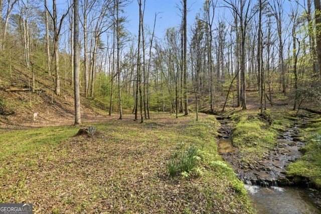 434 Lemmon Drive 384,373,4,, Ellijay, GA 30540