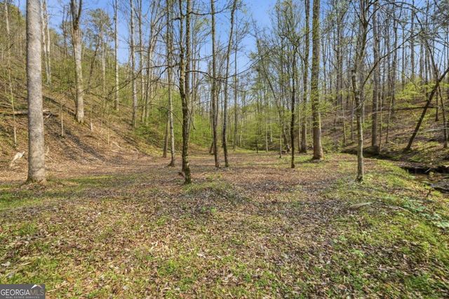 434 Lemmon Drive 384,373,4,, Ellijay, GA 30540