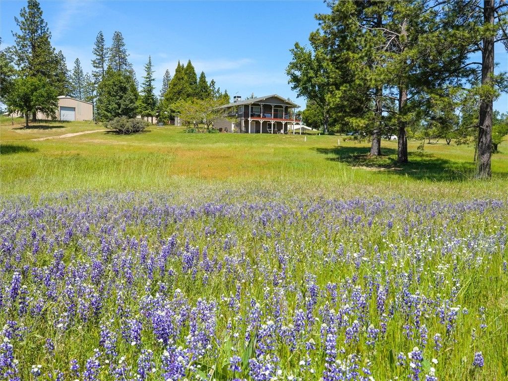 Image 29 of property listing at 3137 Triangle, Mariposa, CA 95338