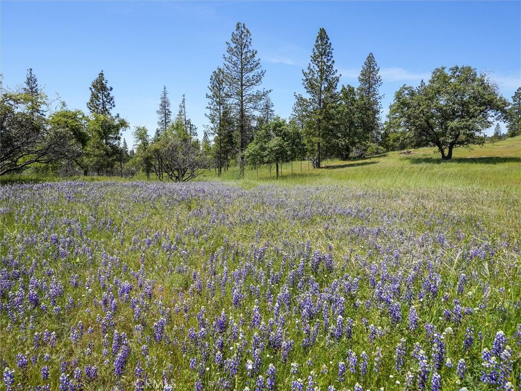 Image 30 of property listing at 3137 Triangle, Mariposa, CA 95338