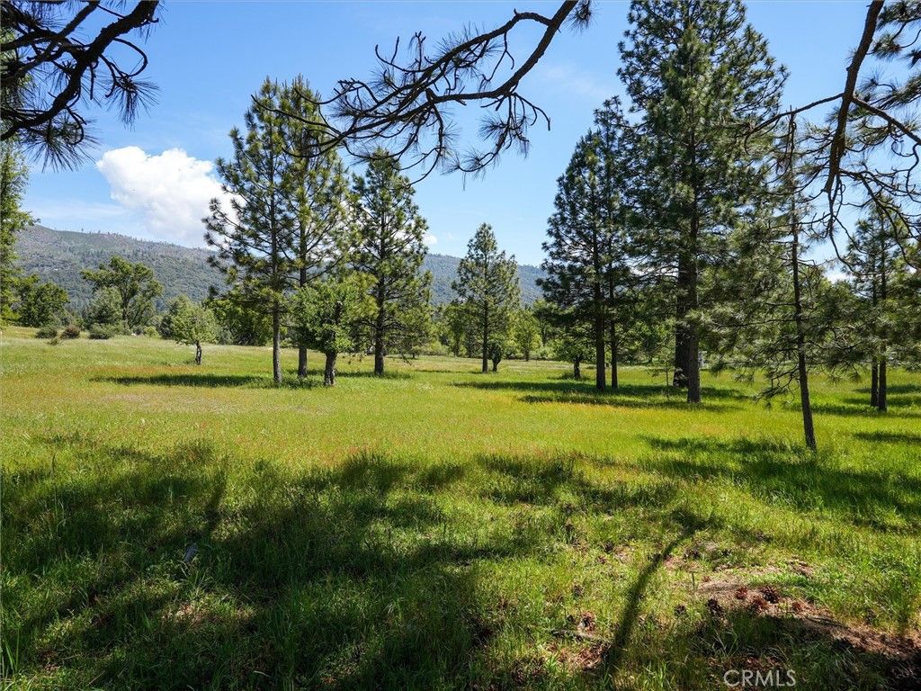 Image 36 of property listing at 3137 Triangle, Mariposa, CA 95338