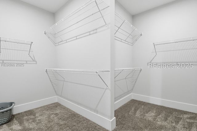 597 Java Drive, Bluffton, SC 29909