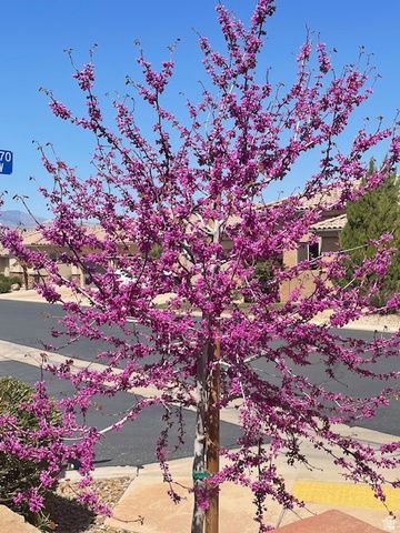 1763 W MORANE MANOR DR, St. George, UT 84790