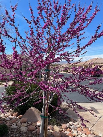 1763 W MORANE MANOR DR, St. George, UT 84790