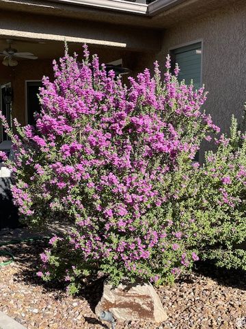 1763 W MORANE MANOR DR, St. George, UT 84790