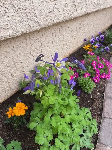 1763 W MORANE MANOR DR, St. George, UT 84790