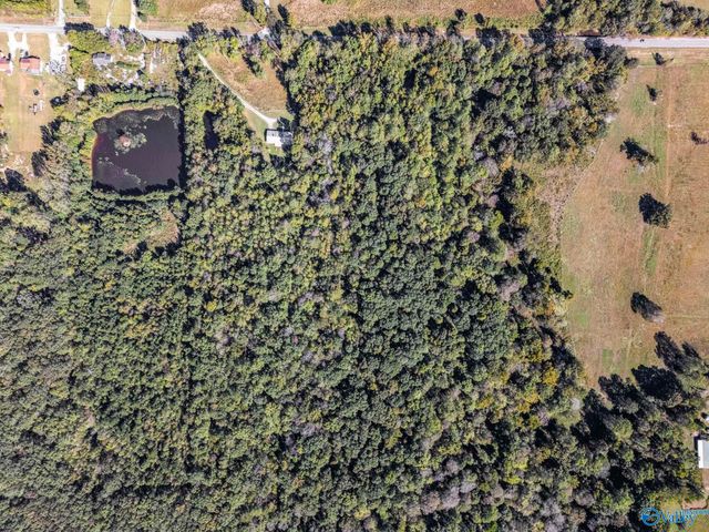 2226 Charity Lane, Hazel Green, AL 35750