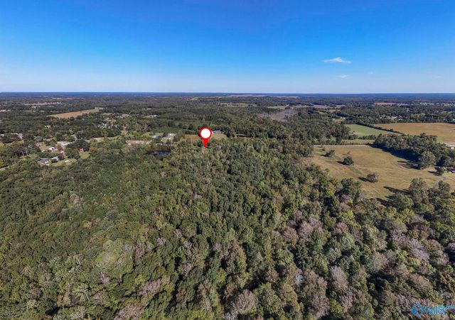 2226 Charity Lane, Hazel Green, AL 35750