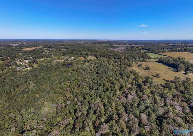 2226 Charity Lane, Hazel Green, AL 35750