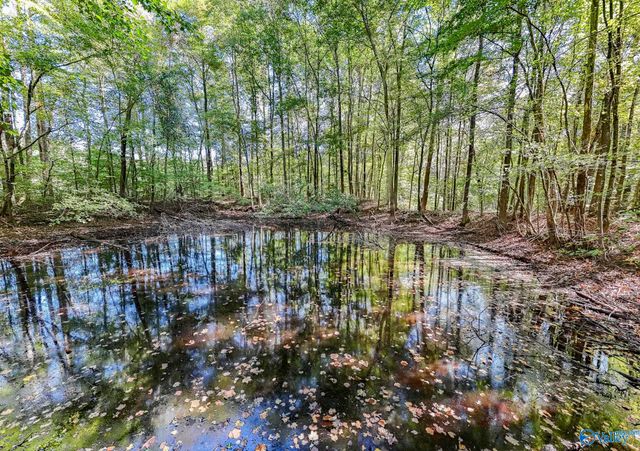 2226 Charity Lane, Hazel Green, AL 35750