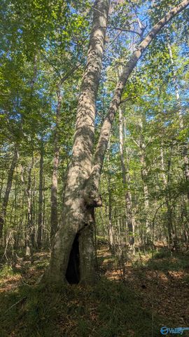 2226 Charity Lane, Hazel Green, AL 35750