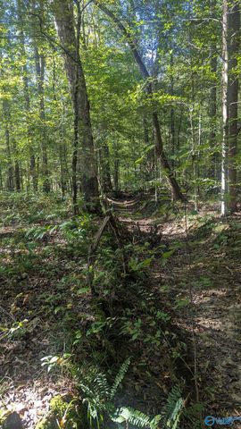 2226 Charity Lane, Hazel Green, AL 35750