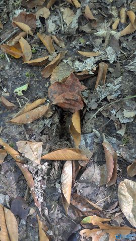 2226 Charity Lane, Hazel Green, AL 35750