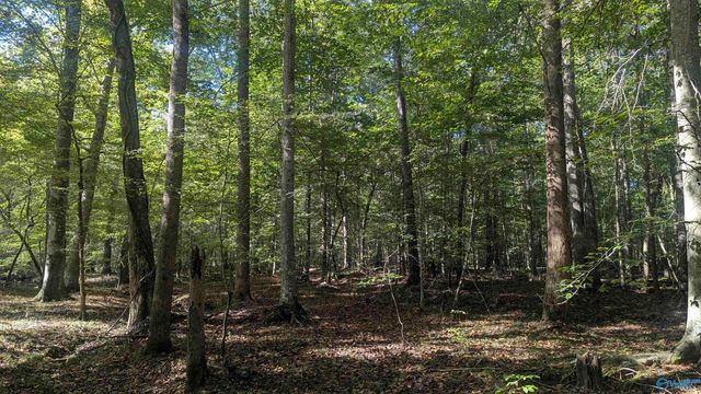 2226 Charity Lane, Hazel Green, AL 35750