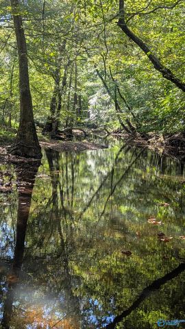 2226 Charity Lane, Hazel Green, AL 35750