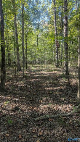 2226 Charity Lane, Hazel Green, AL 35750