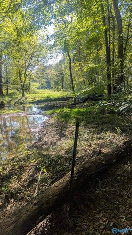 2226 Charity Lane, Hazel Green, AL 35750