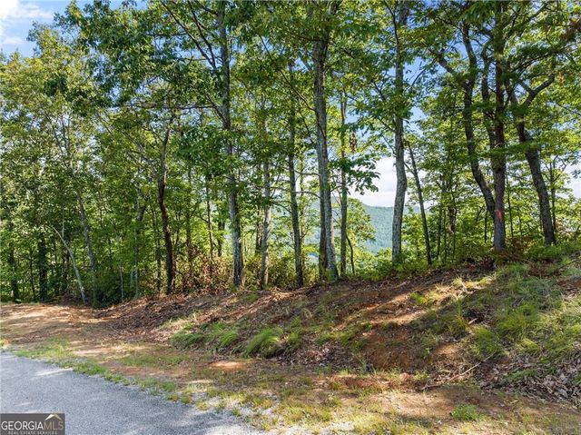 347 Highlands Drive, Clarkesville, GA 30523