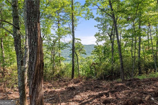 347 Highlands Drive, Clarkesville, GA 30523
