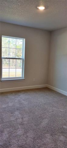 16031 SCAUP DUCK AVENUE, Weeki Wachee, FL 34614