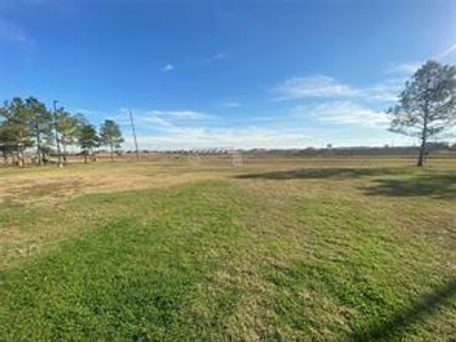8310 Rose Petals Lane, Rosharon, TX 77583